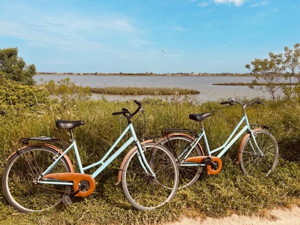 Les plus belles balades à vélo de l'île d'oléron : itinéraires pour tous niveaux