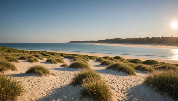 Découvrir le littoral à royan avec le camping des 2 plages